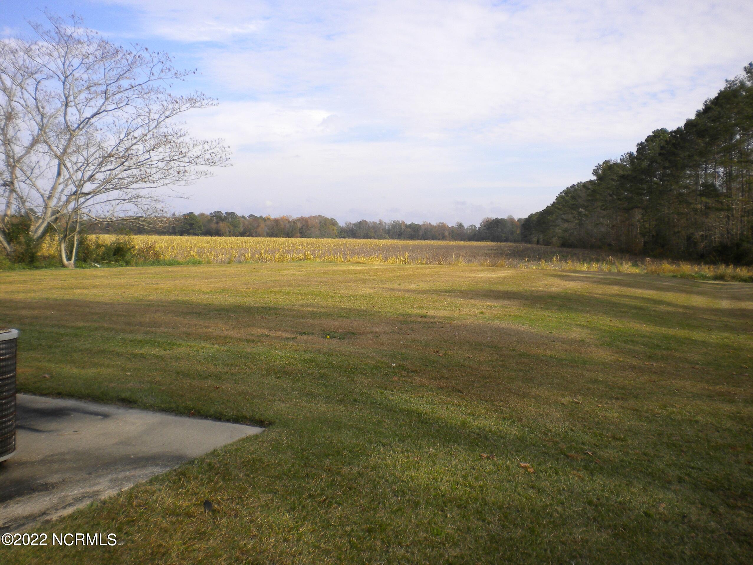 1619 Halltown Road, Unit 1 Jacksonville, NC 28546 - Photo 10 of 10 Rear View