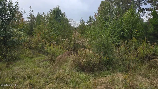 $40,000 | 2077 County Line Road West, Summit, MS 39666