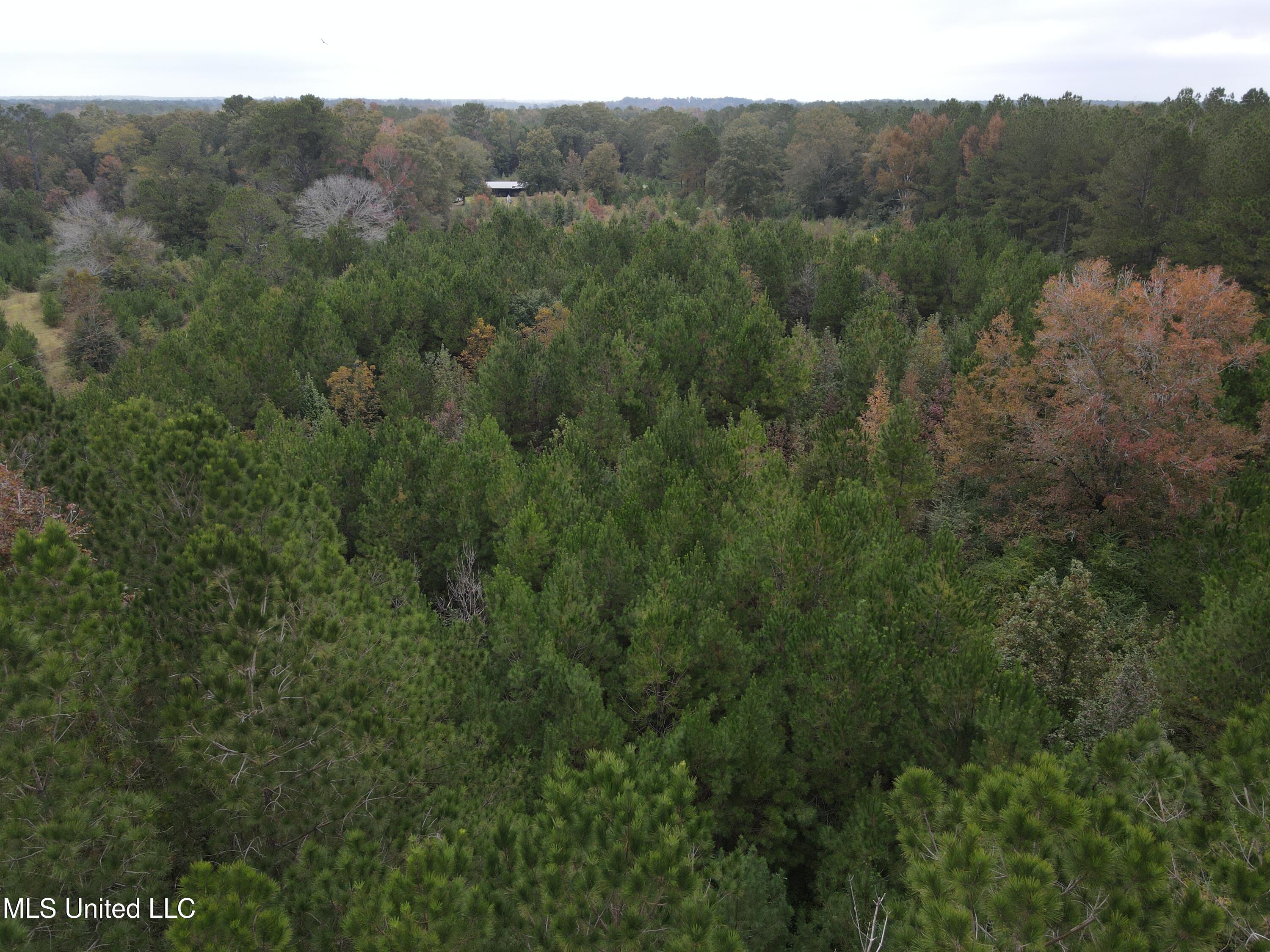 2077 County Line Road West Summit, MS 39666 - Photo 11 of 12 DJI_0989