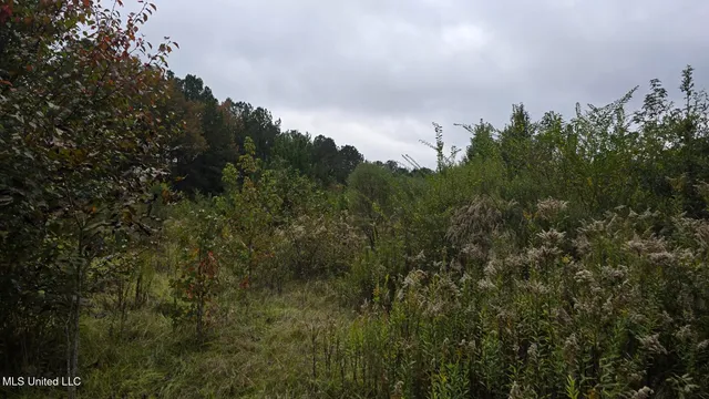 $40,000 | 2077 County Line Road West, Summit, MS 39666