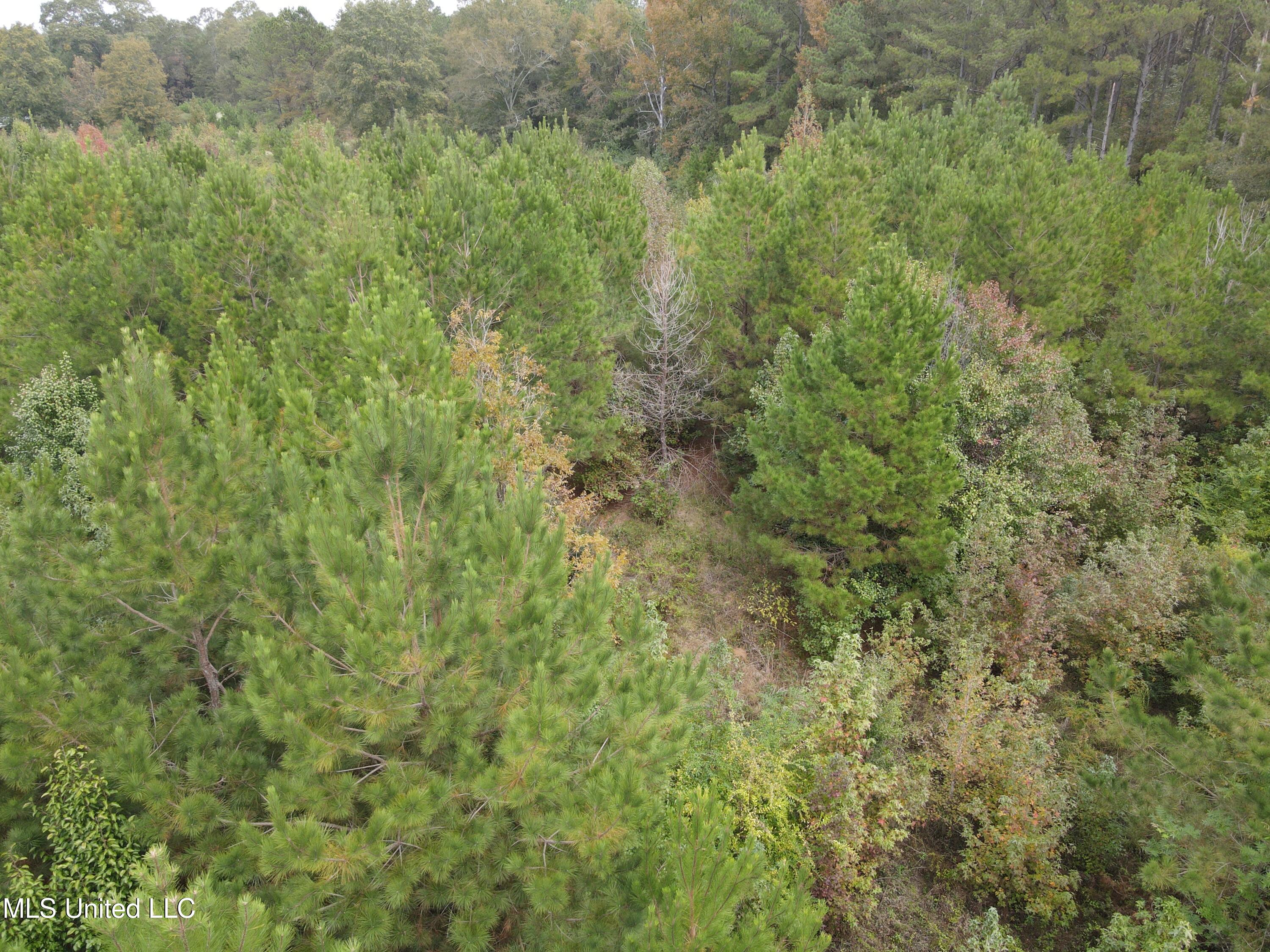 2077 County Line Road West Summit, MS 39666 - Photo 3 of 12 DJI_0981