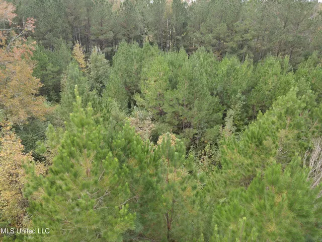 $40,000 | 2077 County Line Road West, Summit, MS 39666