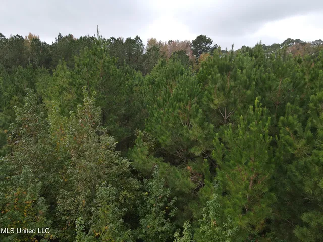 $40,000 | 2077 County Line Road West, Summit, MS 39666