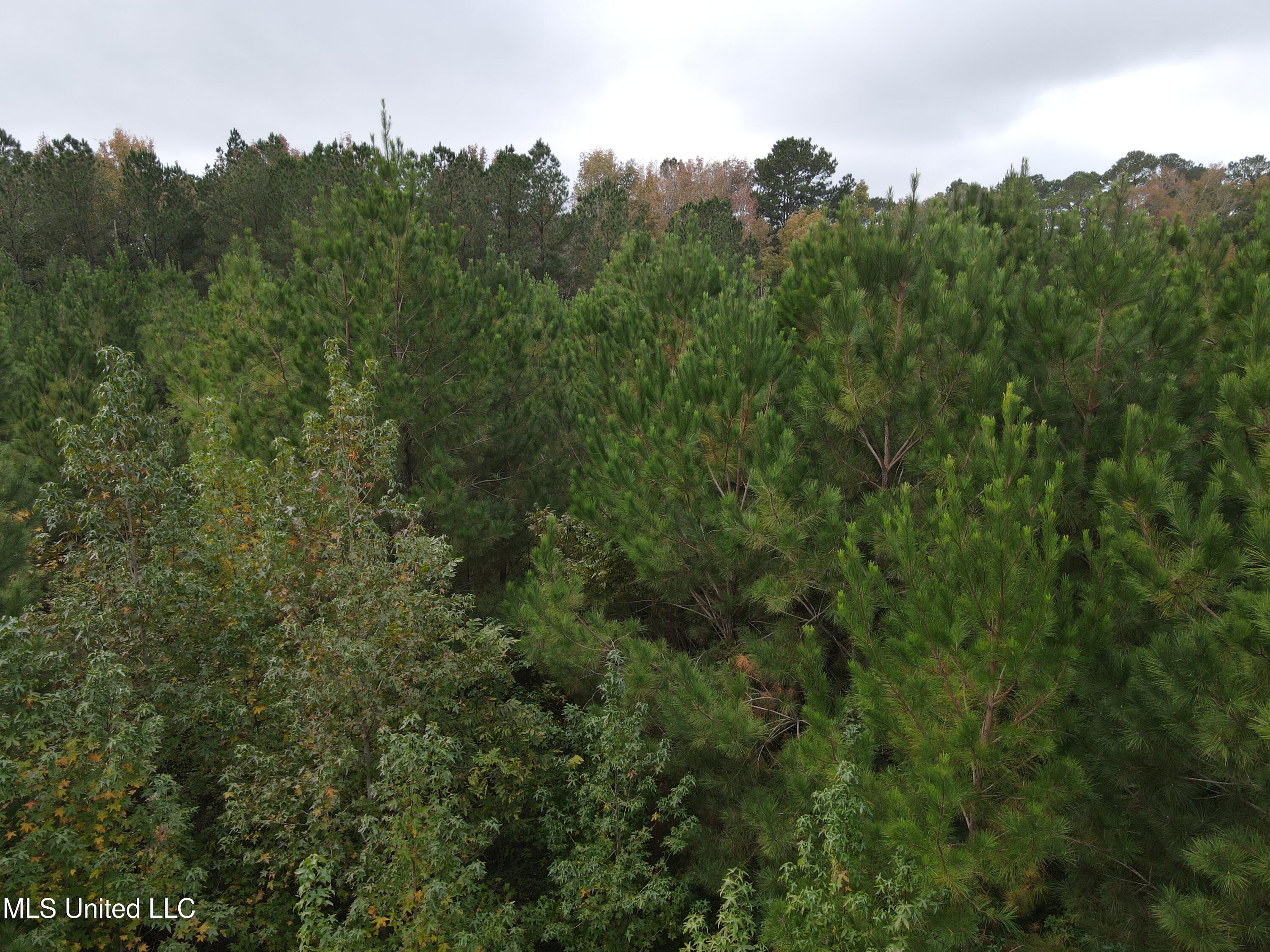 2077 County Line Road West Summit, MS 39666 - Photo 5 of 12 DJI_0983