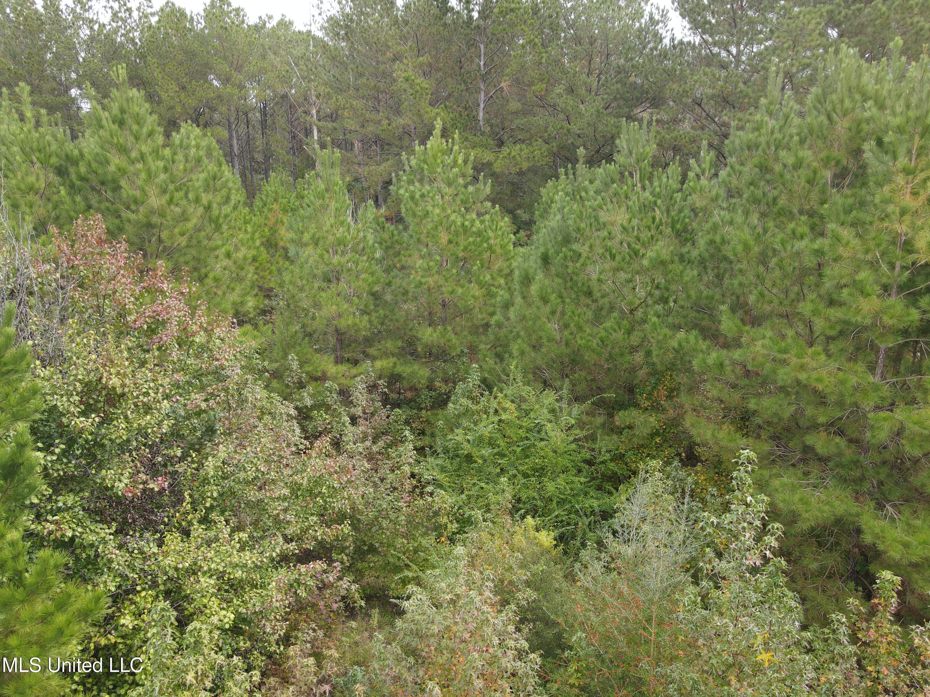 2077 County Line Road West Summit, MS 39666 - Photo 7 of 12 DJI_0985