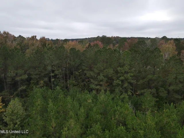 $40,000 | 2077 County Line Road West, Summit, MS 39666