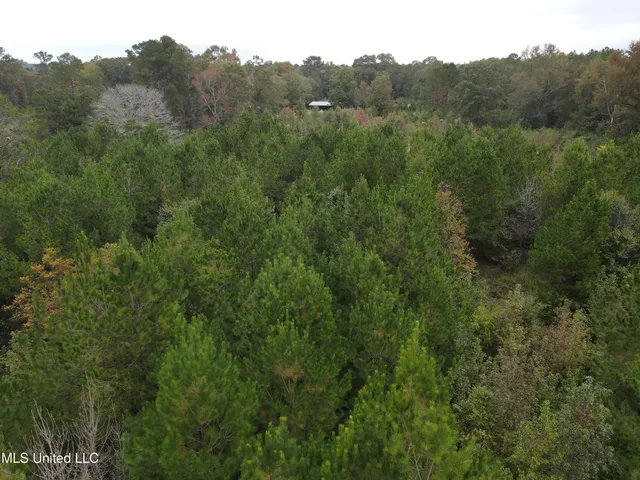 $40,000 | 2077 County Line Road West, Summit, MS 39666