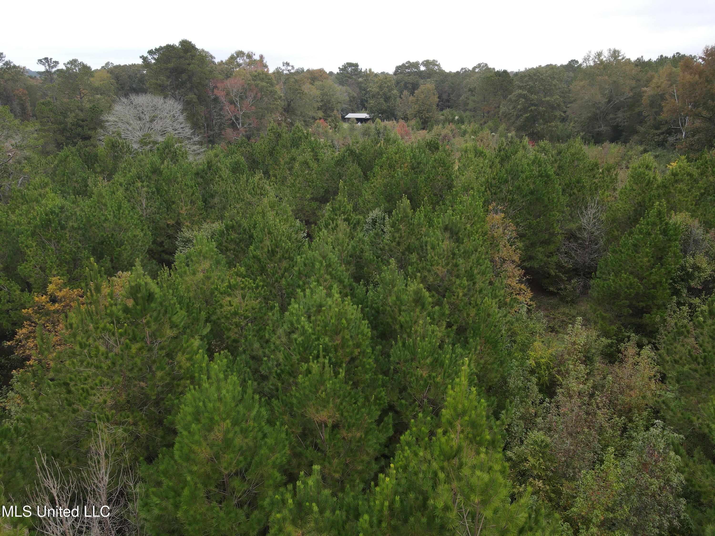 2077 County Line Road West Summit, MS 39666 - Photo 9 of 12 DJI_0987