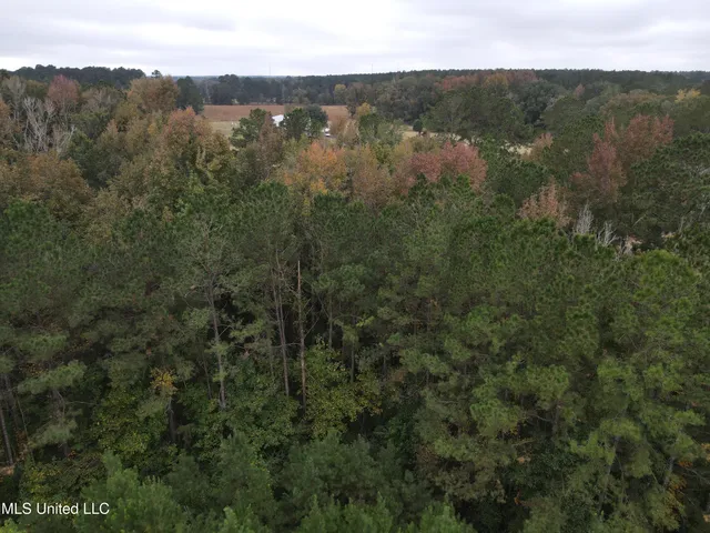 $40,000 | 2077 County Line Road West, Summit, MS 39666