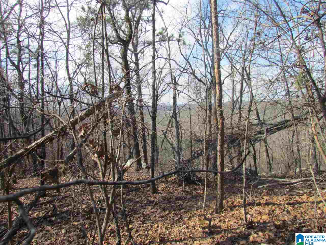 Kings Crest Lane, Unit 76 Pelham, AL 35124 - Photo 1 of 1