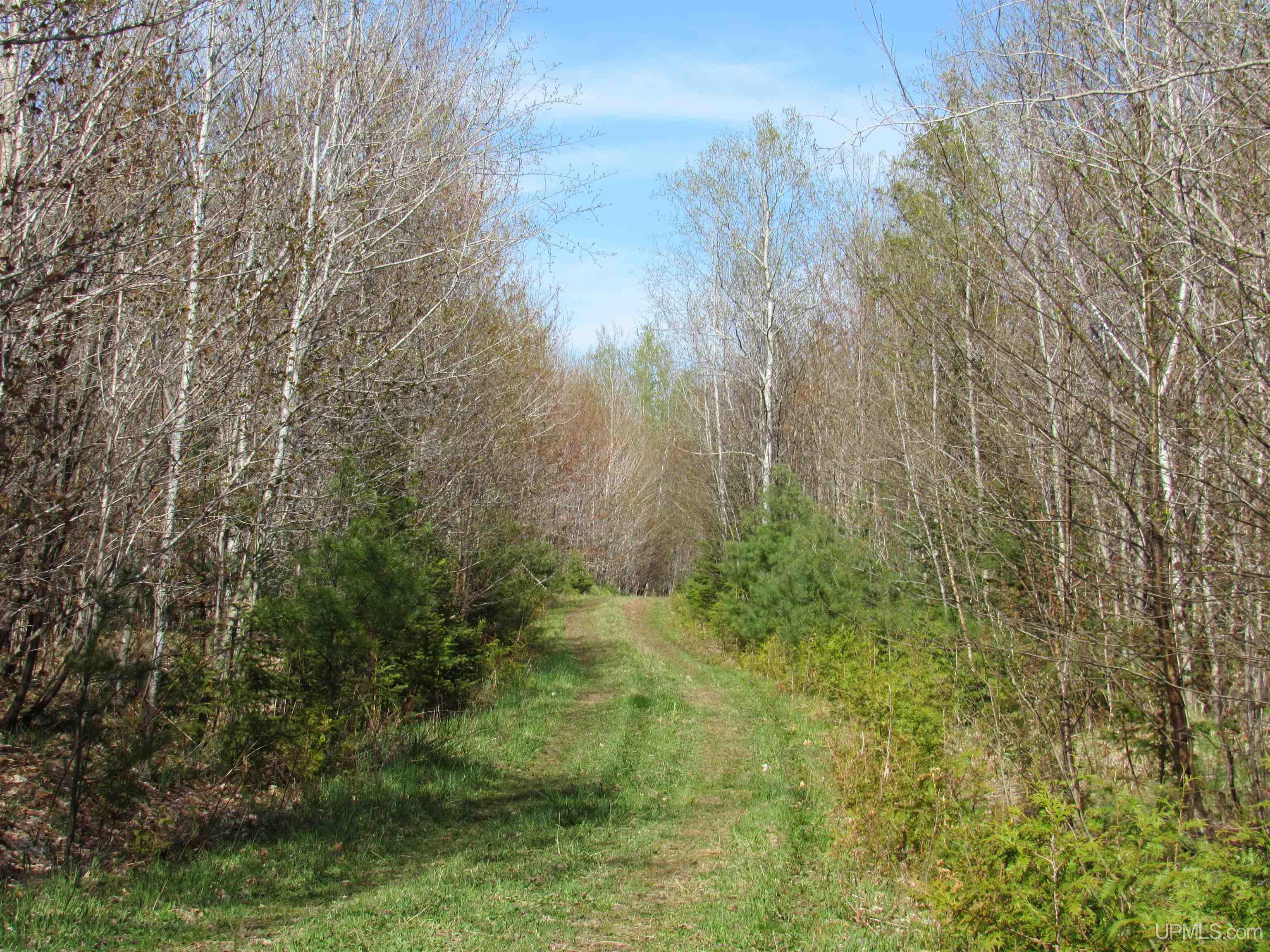 Tbd Off Rice Lake Road, Unit NO DRIVE BYS Lake Linden, MI 49945 - Photo 35 of 40