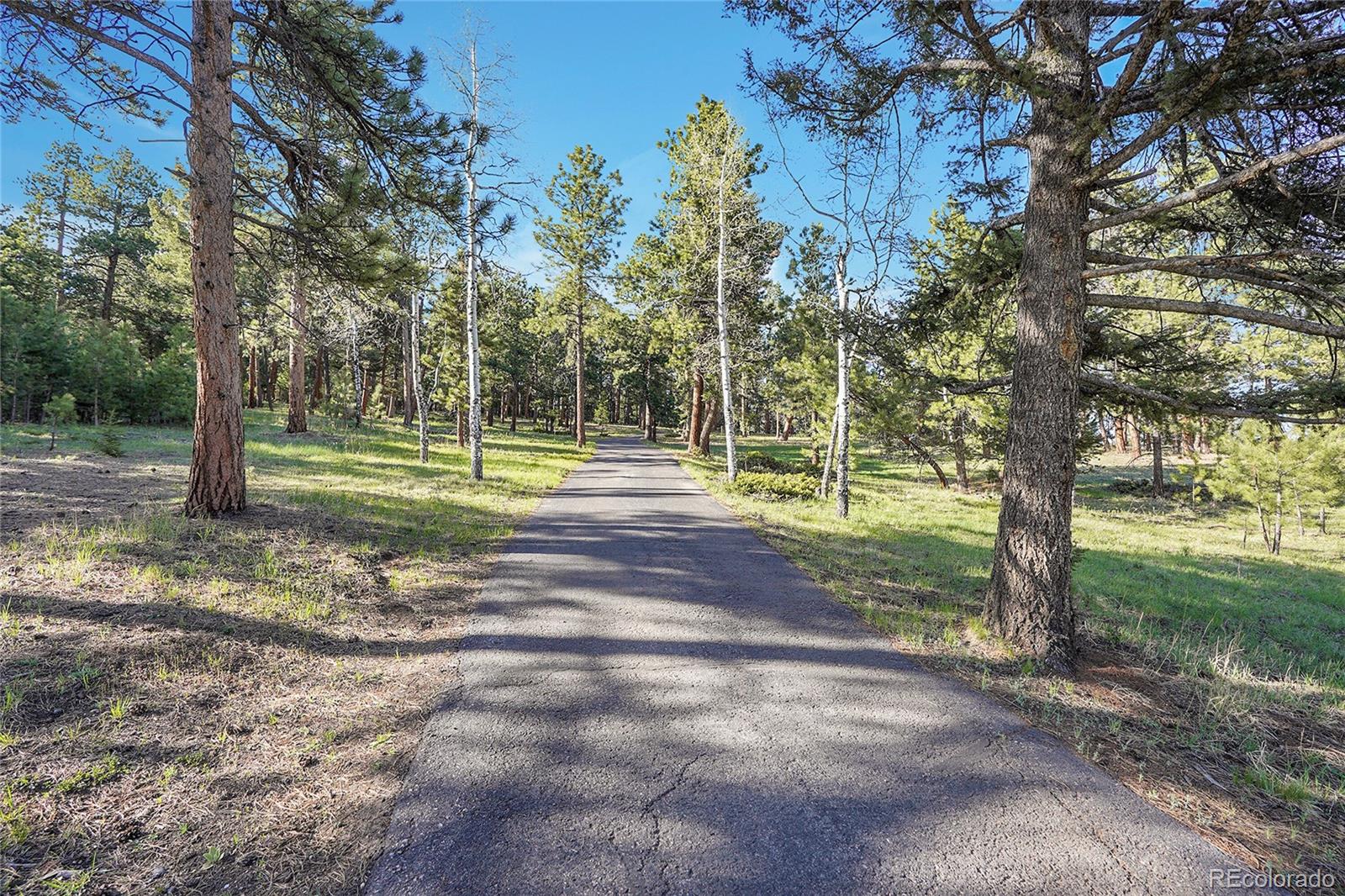 Molly Drive, Unit 1 Conifer, CO 80433 - Photo 1 of 34