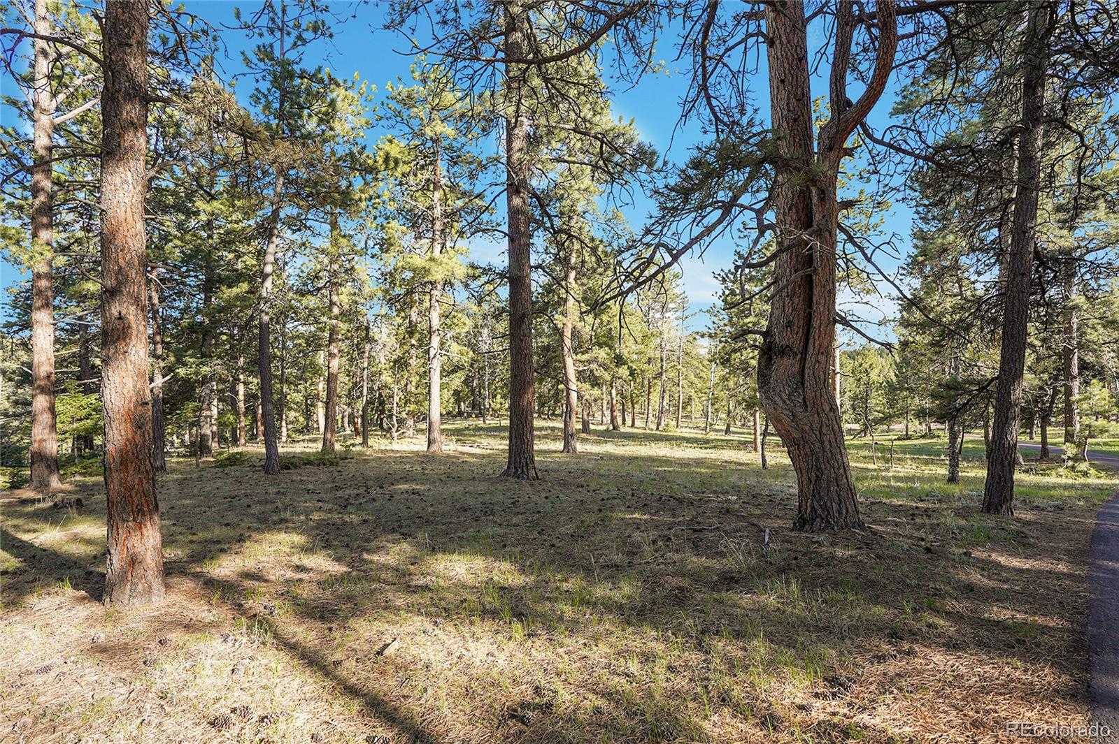 Molly Drive, Unit 1 Conifer, CO 80433 - Photo 11 of 34