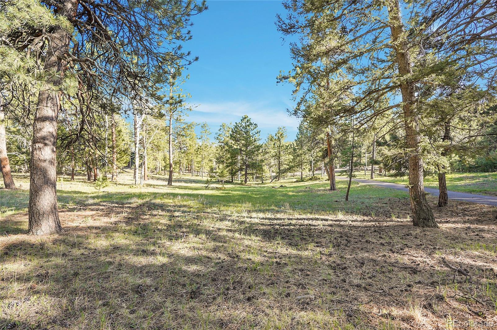 Molly Drive, Unit 1 Conifer, CO 80433 - Photo 12 of 34