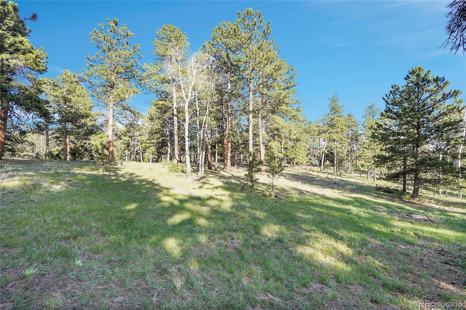 Molly Drive, Unit 1 Conifer, CO 80433 - Photo 13 of 34