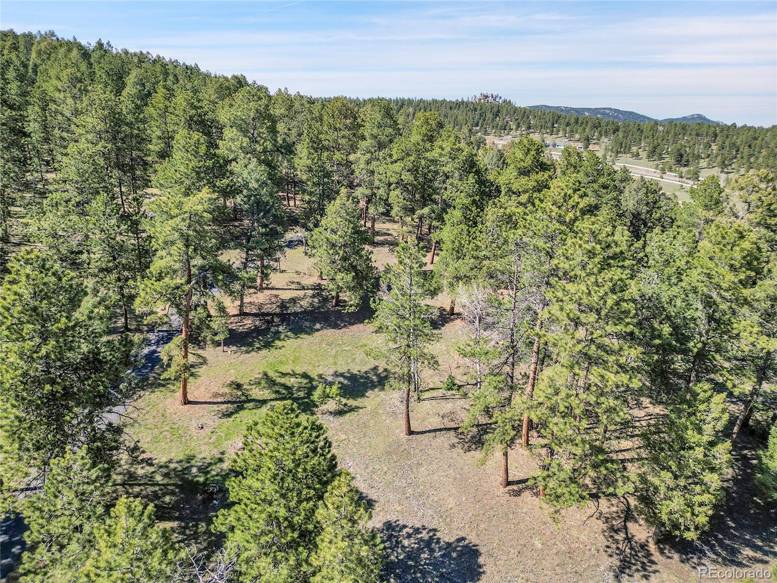 Molly Drive, Unit 1 Conifer, CO 80433 - Photo 15 of 34