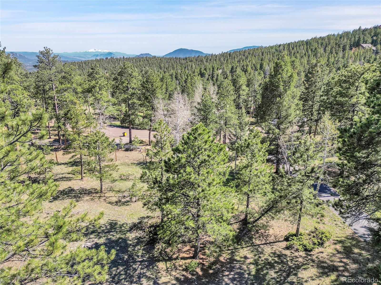 Molly Drive, Unit 1 Conifer, CO 80433 - Photo 16 of 34