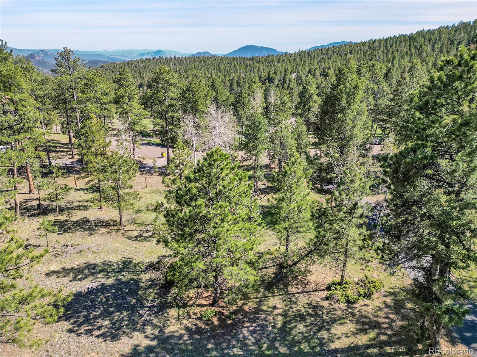 Molly Drive, Unit 1 Conifer, CO 80433 - Photo 17 of 34