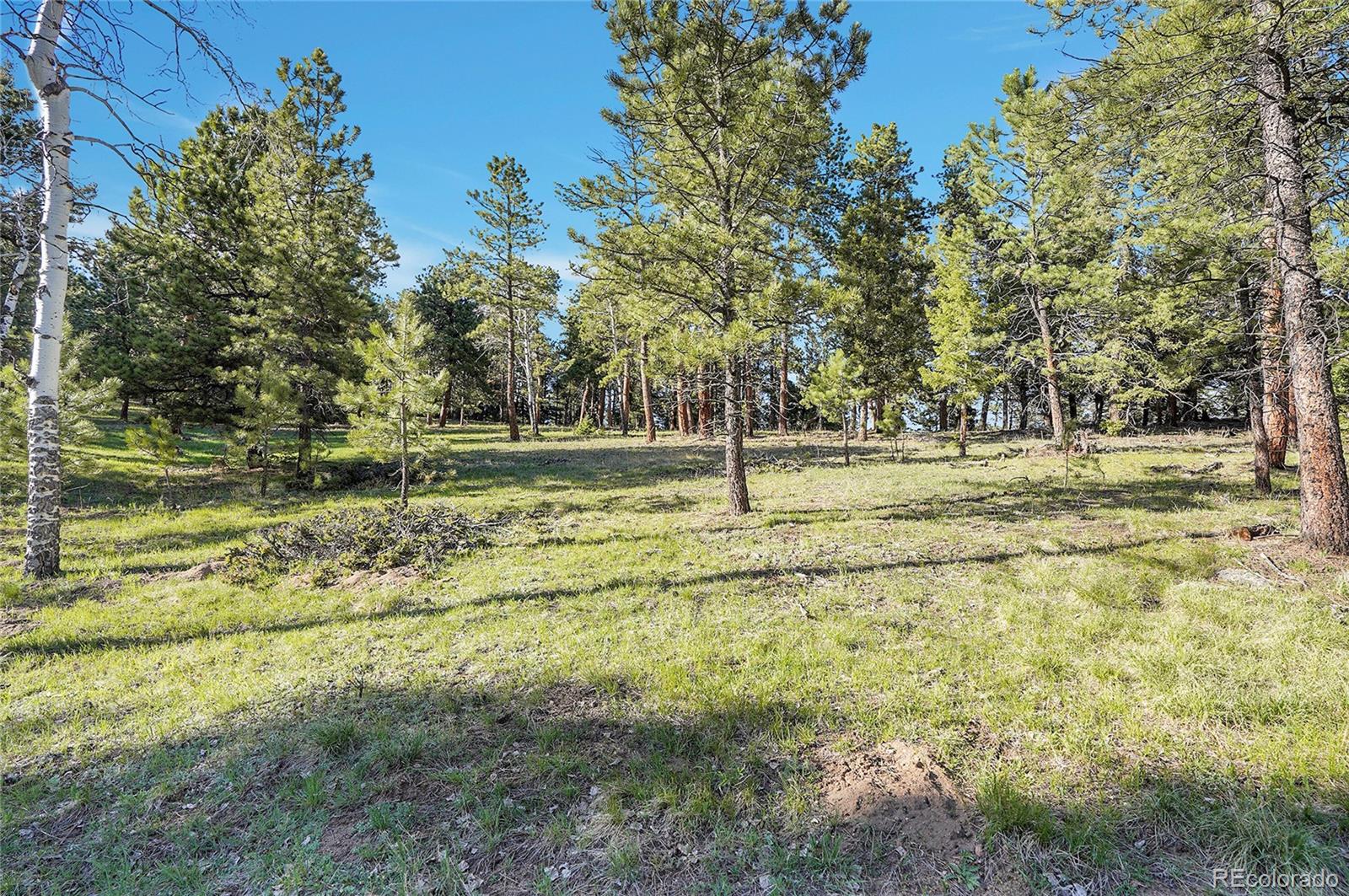 Molly Drive, Unit 1 Conifer, CO 80433 - Photo 2 of 34