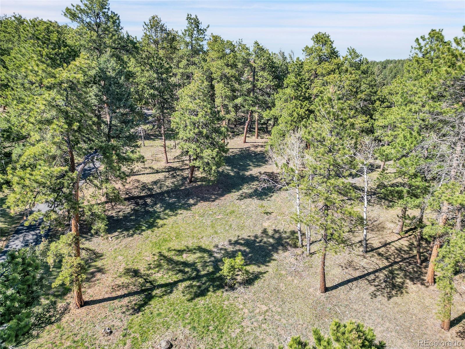 Molly Drive, Unit 1 Conifer, CO 80433 - Photo 26 of 34