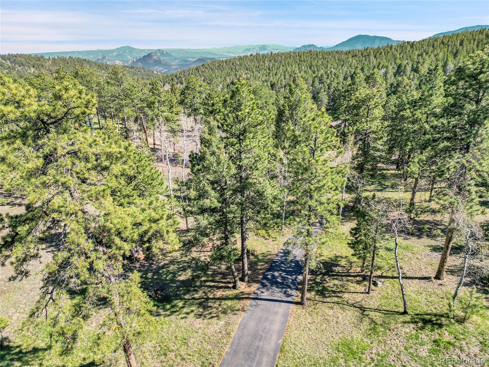 Molly Drive, Unit 1 Conifer, CO 80433 - Photo 28 of 34