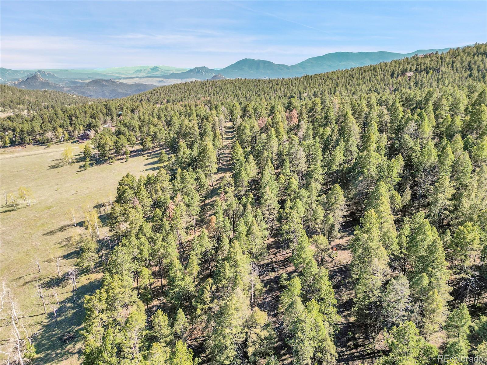 Molly Drive, Unit 1 Conifer, CO 80433 - Photo 29 of 34