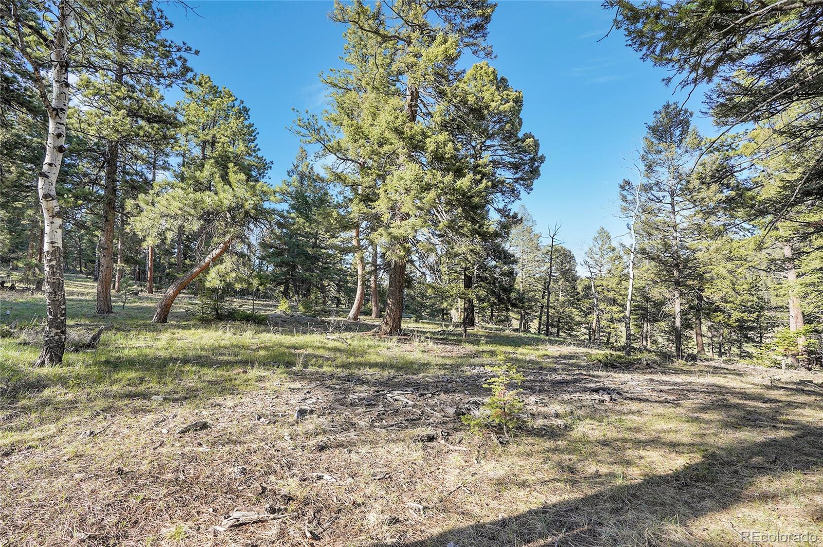 Molly Drive, Unit 1 Conifer, CO 80433 - Photo 3 of 34