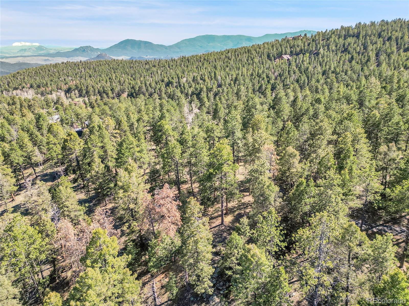 Molly Drive, Unit 1 Conifer, CO 80433 - Photo 31 of 34