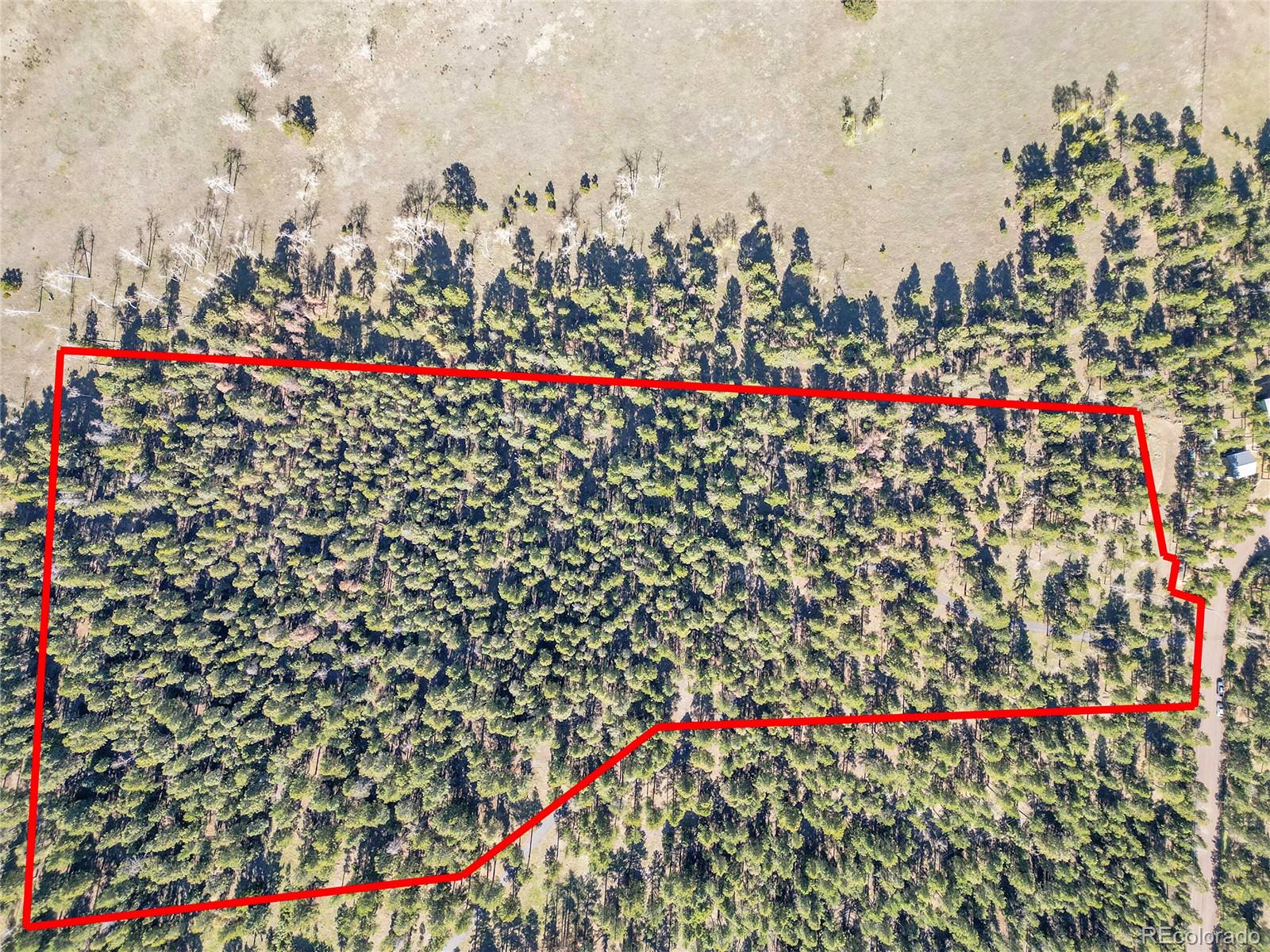 Molly Drive, Unit 1 Conifer, CO 80433 - Photo 33 of 34