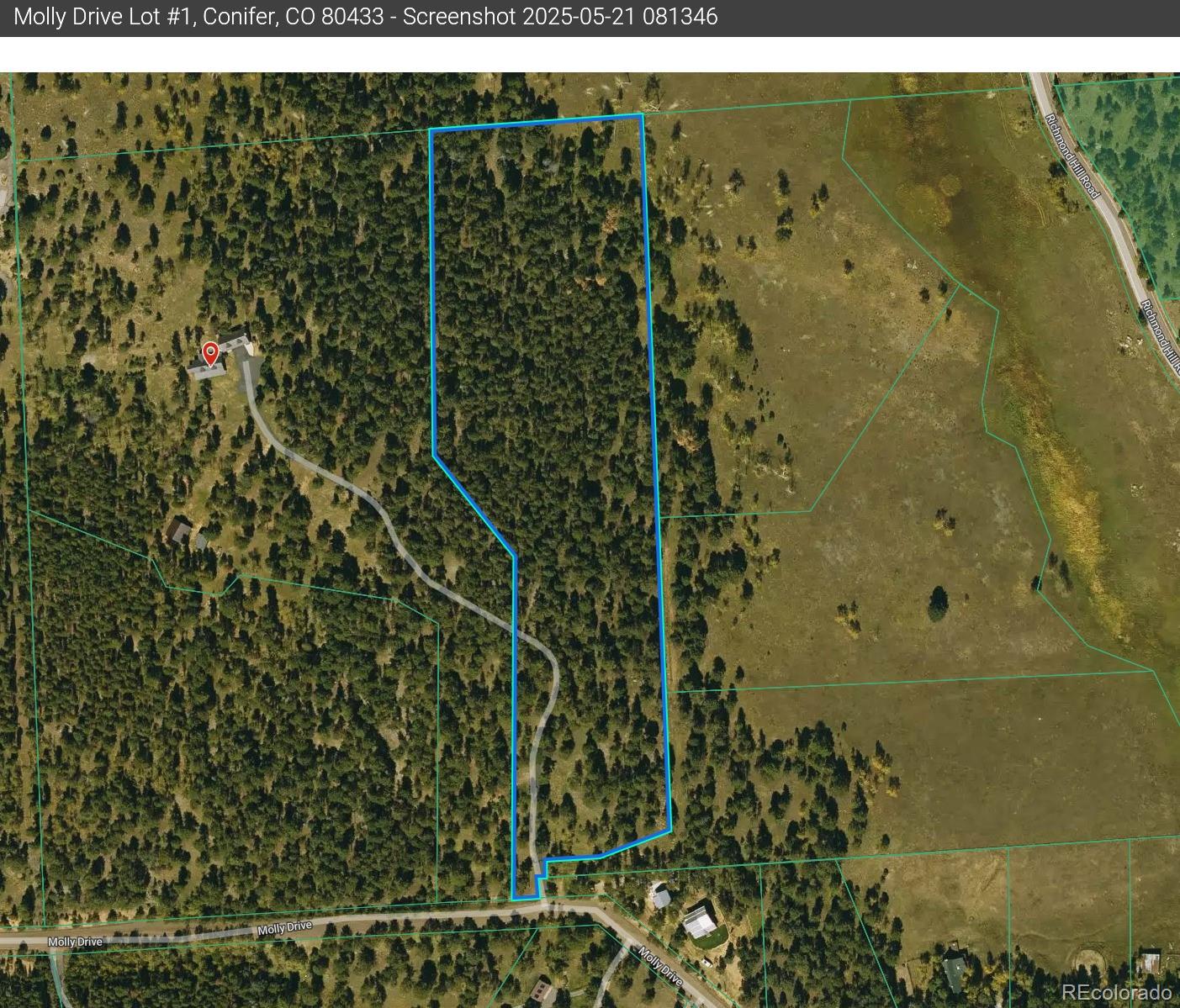 Molly Drive, Unit 1 Conifer, CO 80433 - Photo 34 of 34