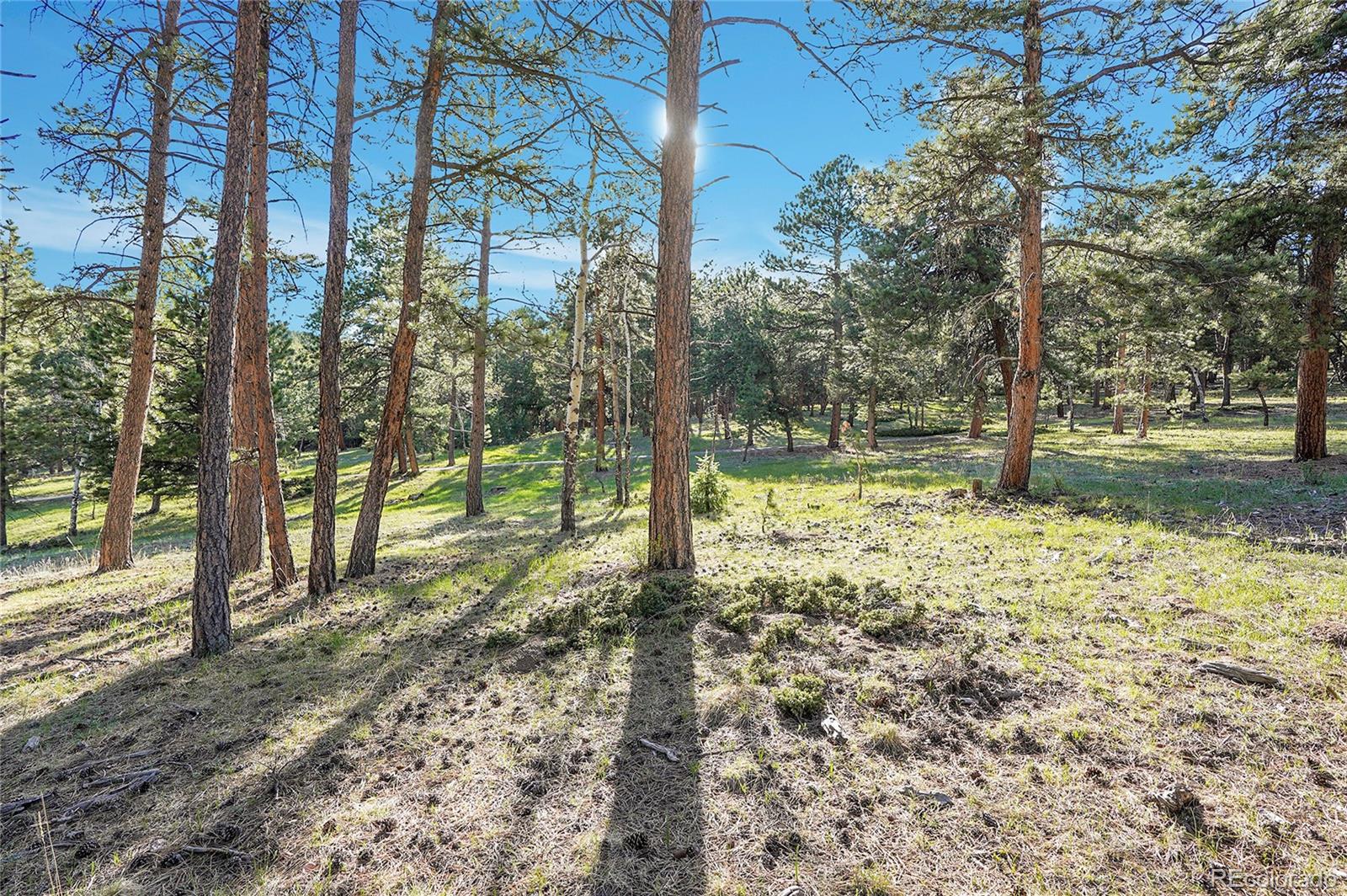 Molly Drive, Unit 1 Conifer, CO 80433 - Photo 4 of 34