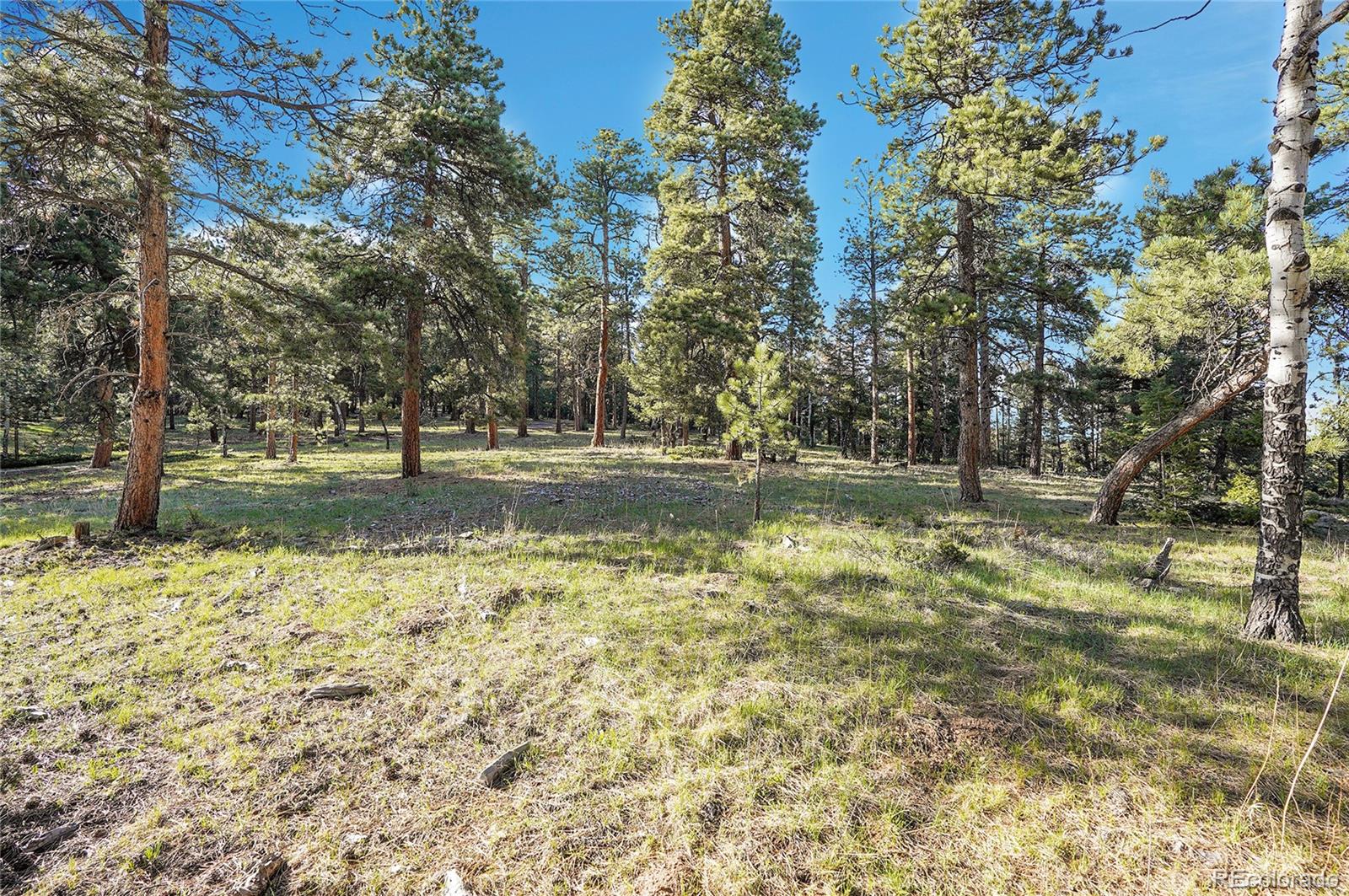 Molly Drive, Unit 1 Conifer, CO 80433 - Photo 5 of 34