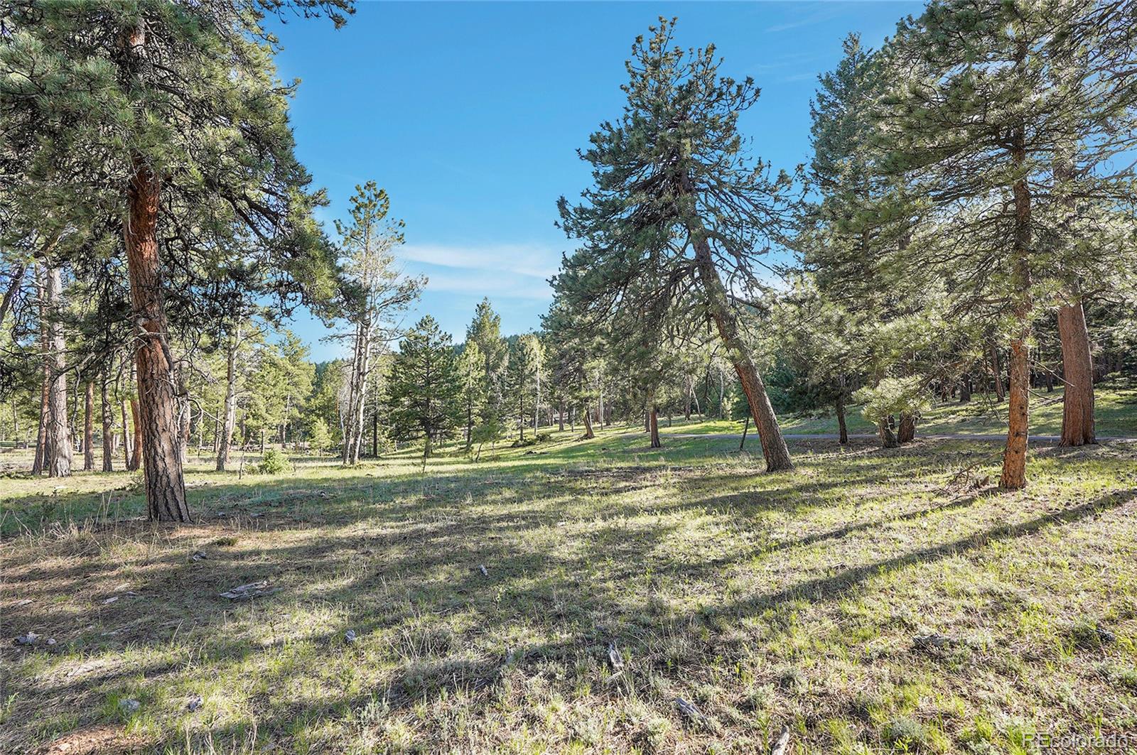 Molly Drive, Unit 1 Conifer, CO 80433 - Photo 6 of 34