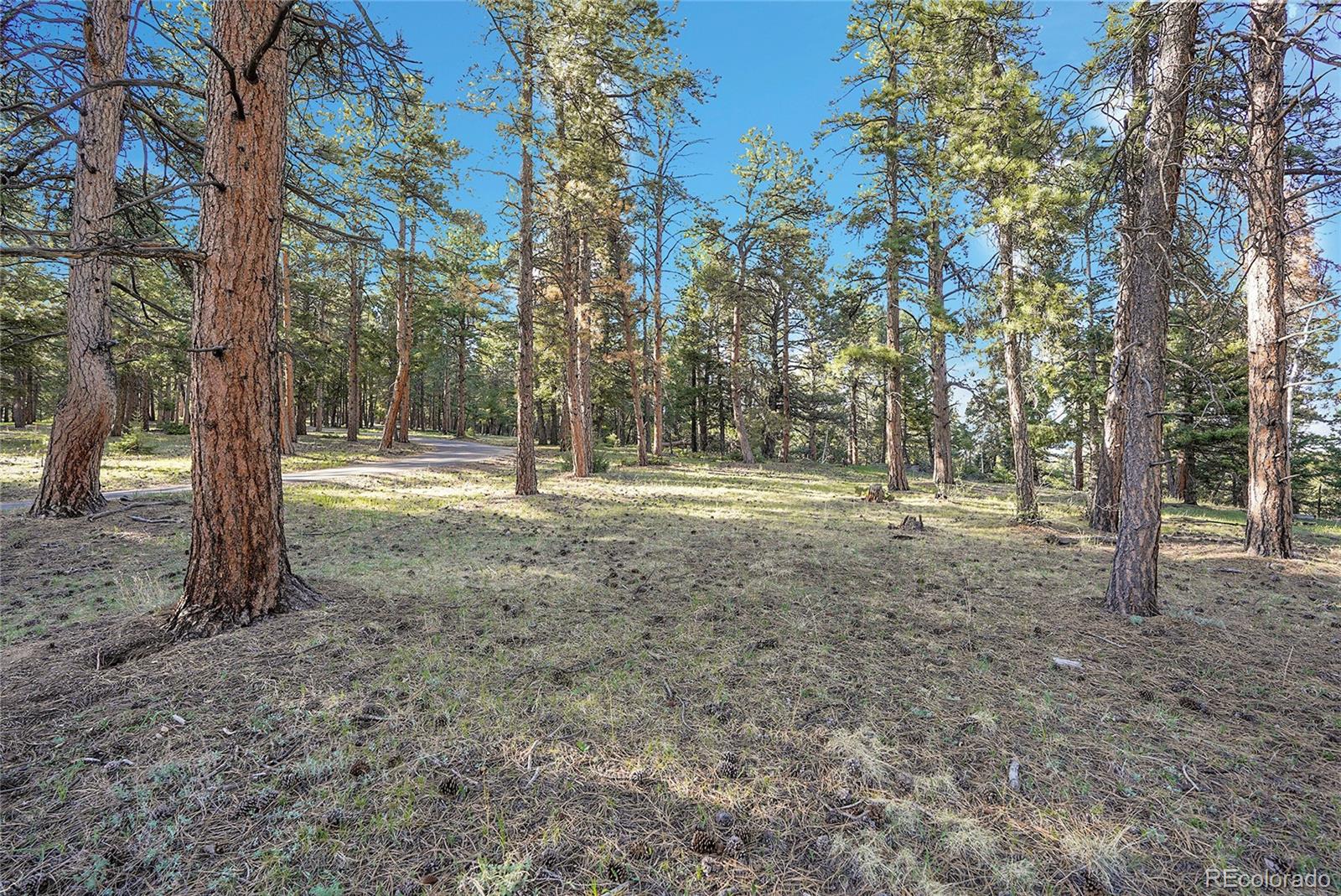 Molly Drive, Unit 1 Conifer, CO 80433 - Photo 7 of 34