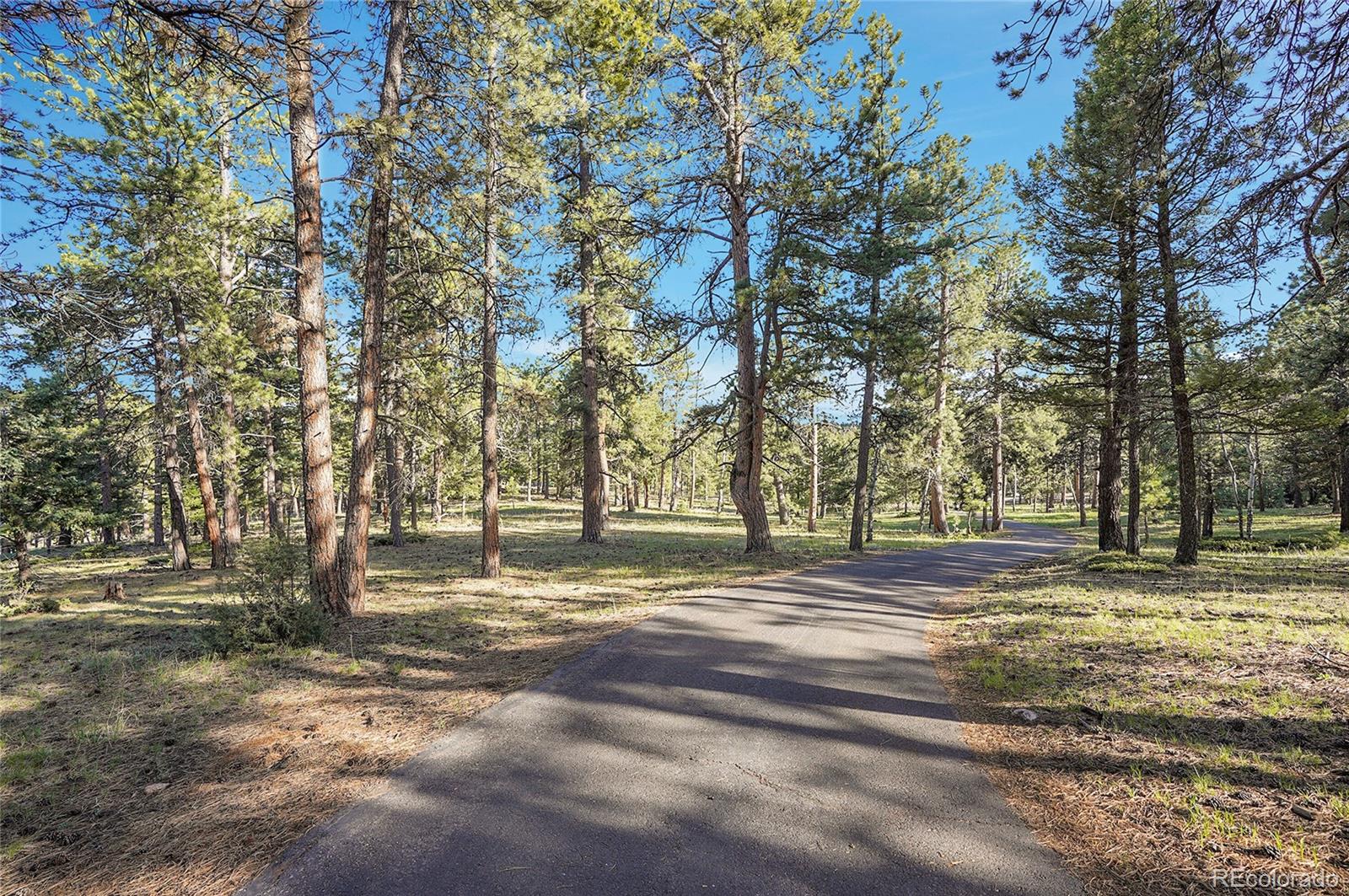 Molly Drive, Unit 1 Conifer, CO 80433 - Photo 8 of 34