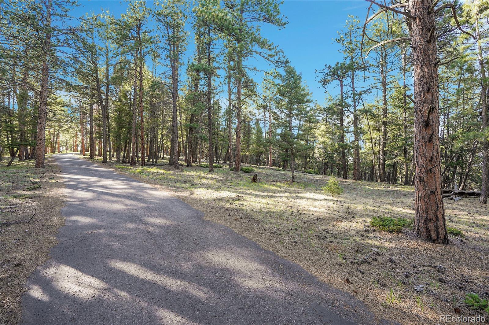 Molly Drive, Unit 1 Conifer, CO 80433 - Photo 9 of 34