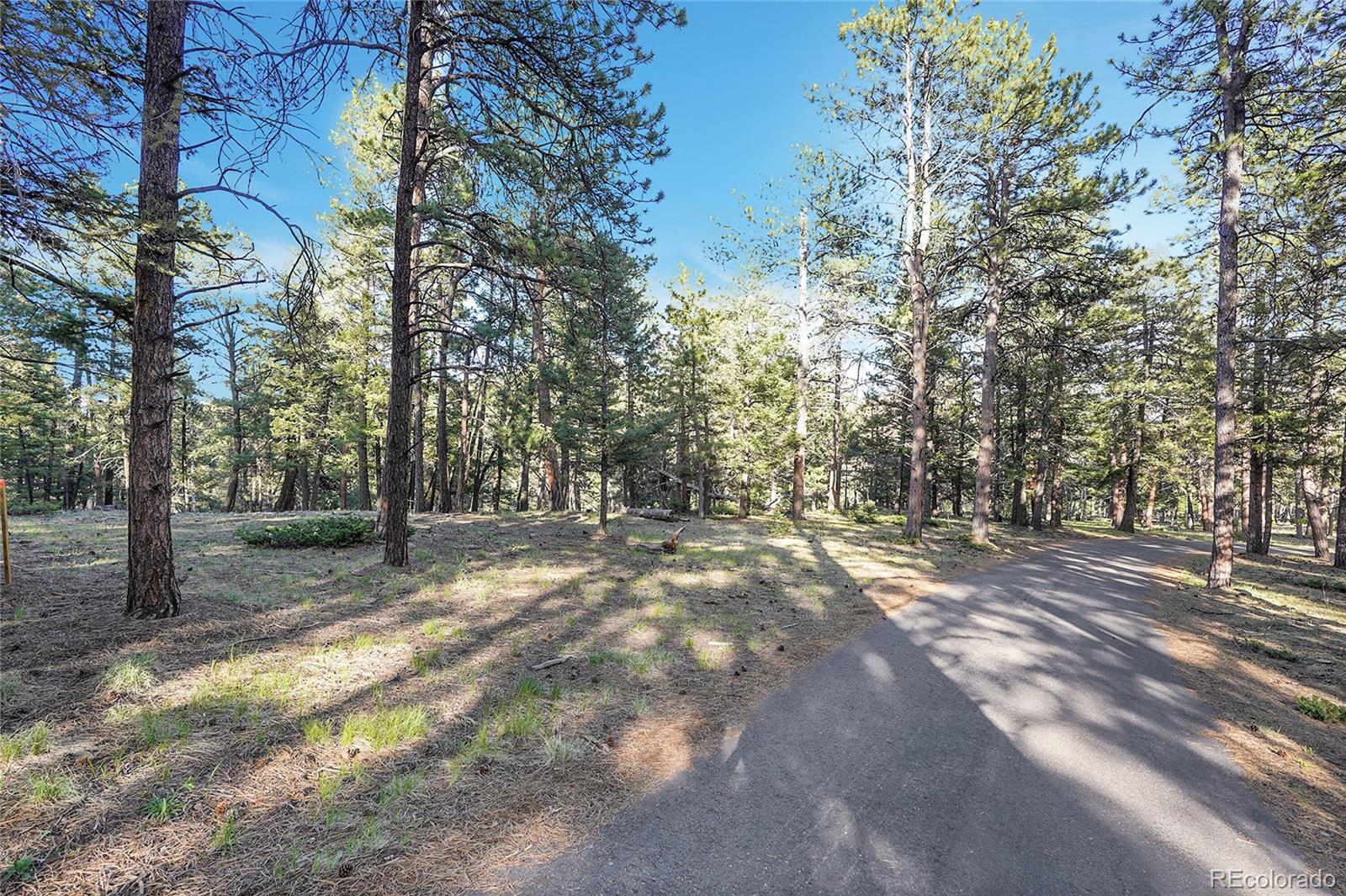 Molly Drive, Unit 1 Conifer, CO 80433 - Photo 10 of 34