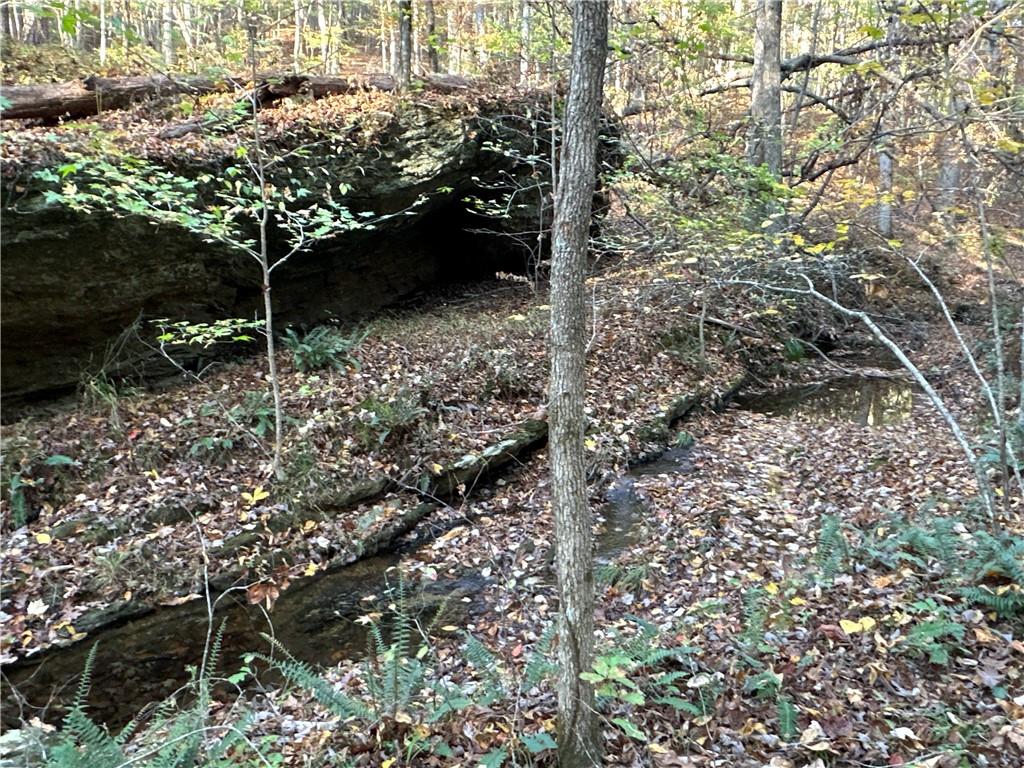 1806 Browning Road Rockmart, GA 30153 - Photo 63 of 97