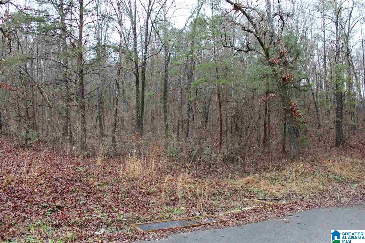 0 Fitzgerald Road Oxford, AL 36203 - Photo 40 of 44