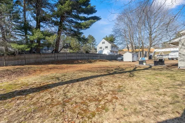 a view of a yard with large trees