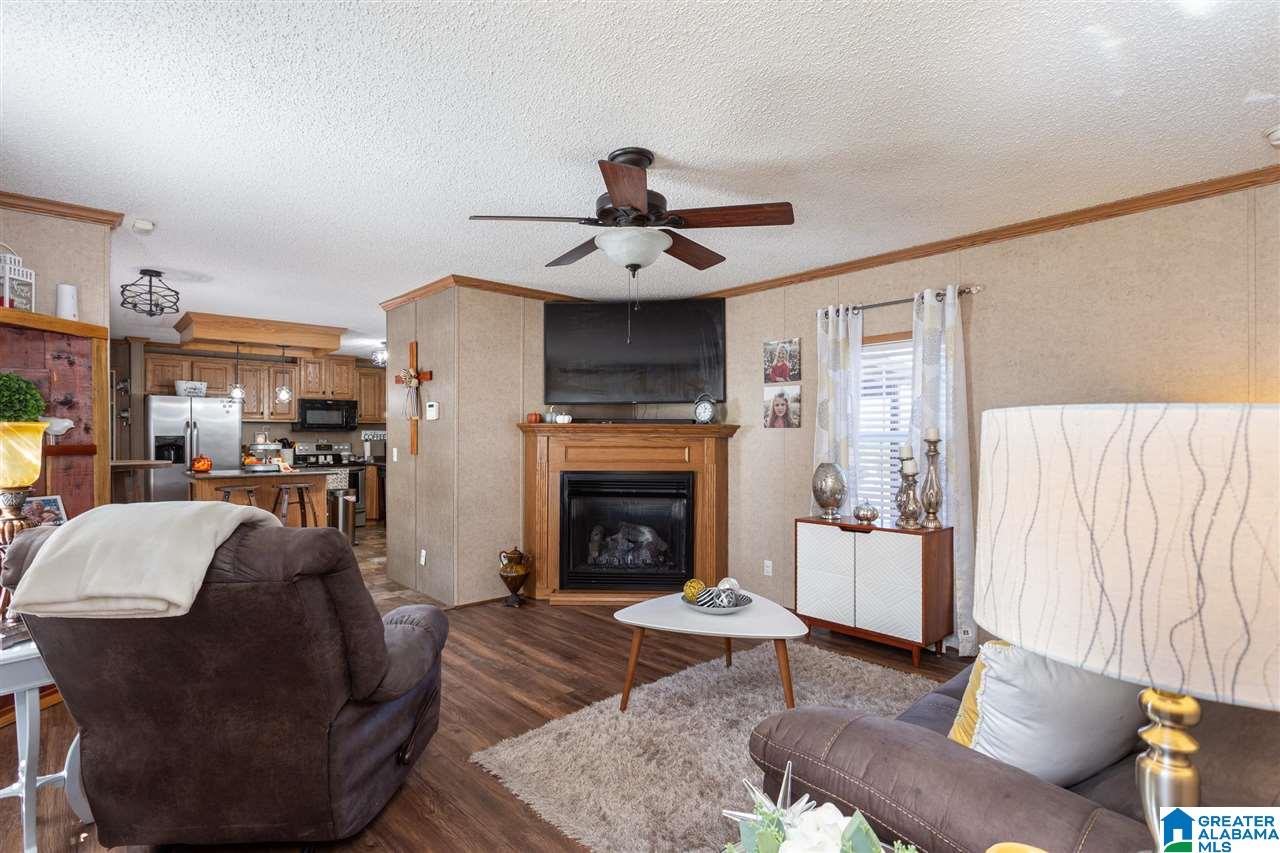 20 Memory Lane Ohatchee, AL 36271 - Photo 4 of 43