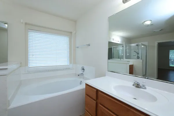 a bathroom with a tub sink and mirror
