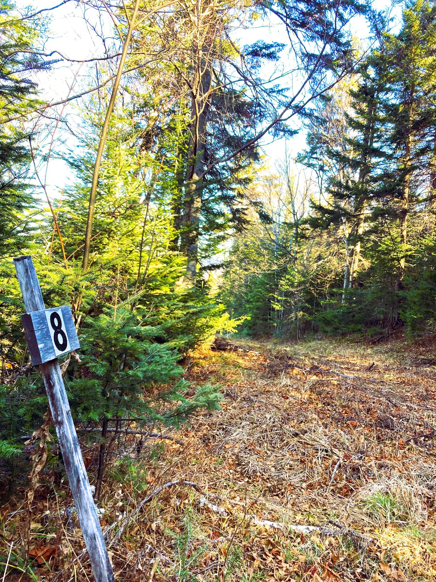 Lot 8 Lot Road Sandy River Plt, ME 04970 - Photo 4 of 8 Trail Access from back yard