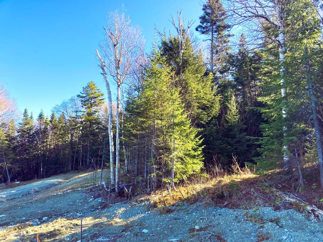 $749,000 | Lot 8 Lot Road, Sandy River Plt, ME 04970