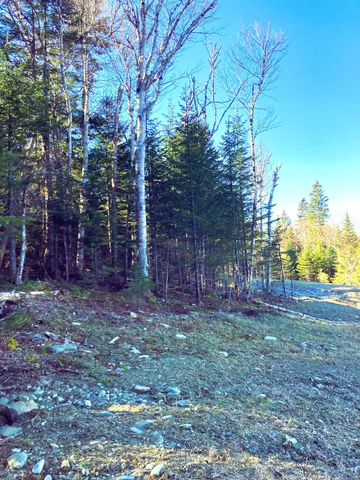 $749,000 | Lot 8 Lot Road, Sandy River Plt, ME 04970