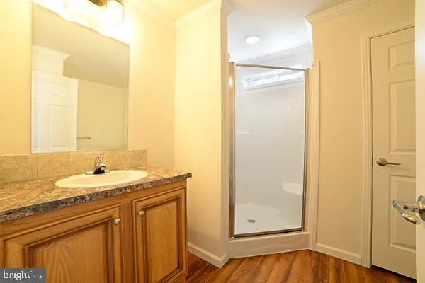 a bathroom with a sink a mirror and a shower