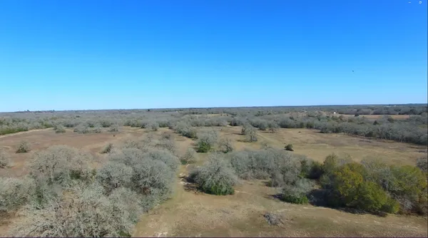 a view of a dry field with lots of bushes