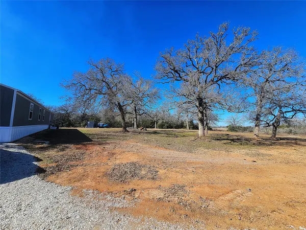 a view of a yard with a tree