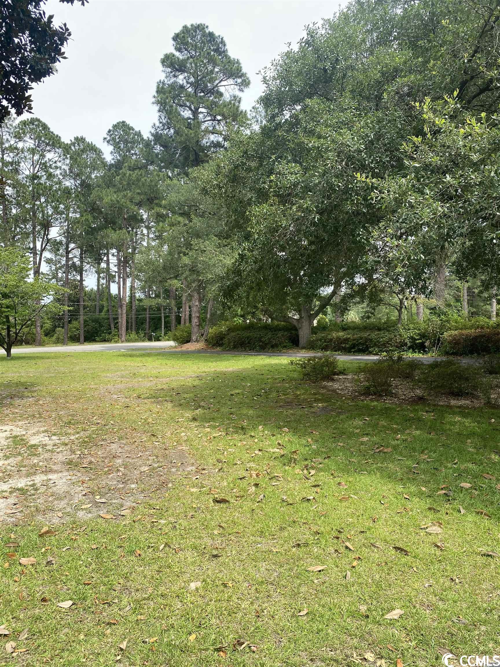 1104 South Main Street Mullins, SC 29574 - Photo 13 of 24 Gallery Image 13
