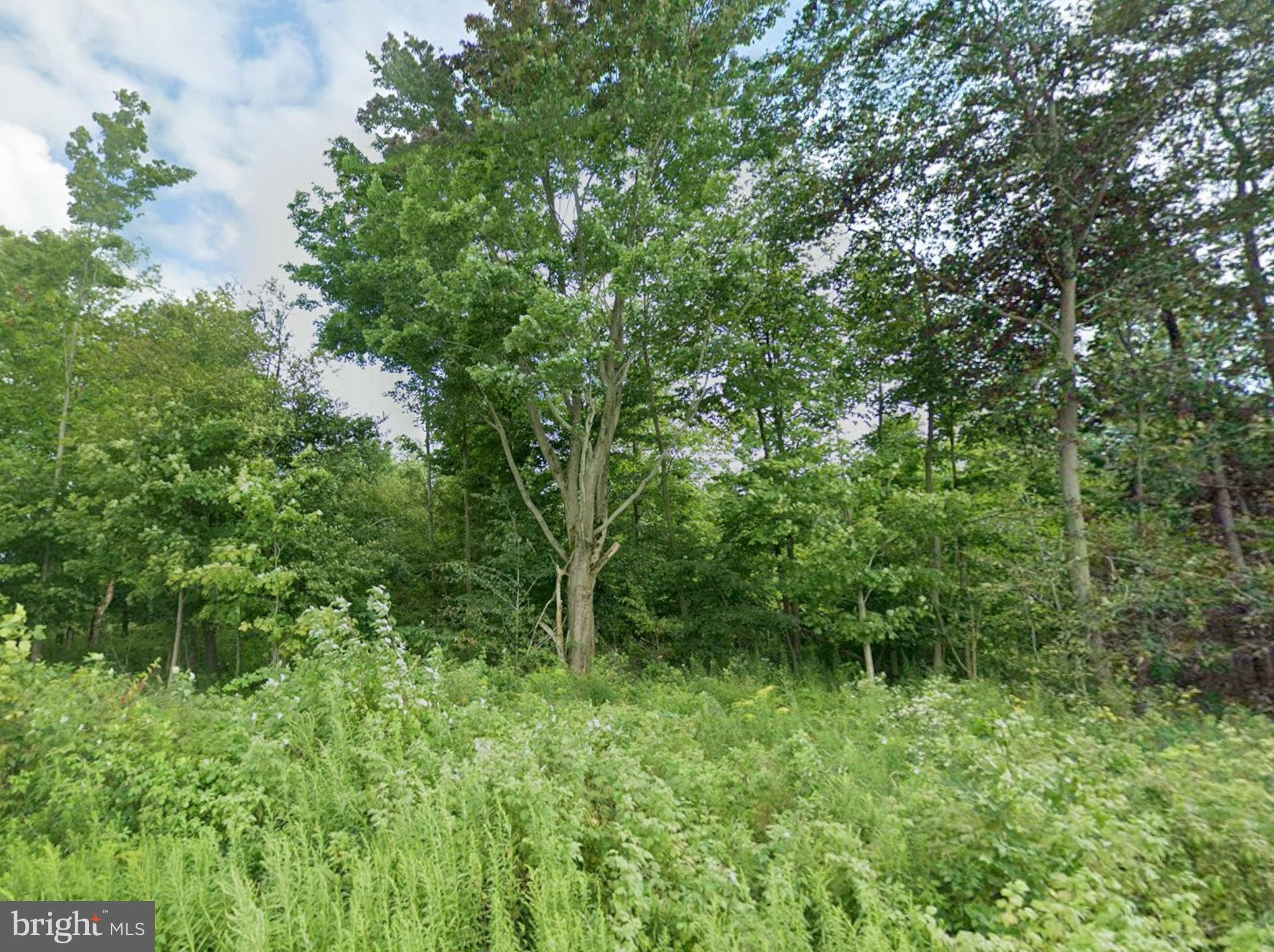 Williams Road Cochranton, PA 16314 - Photo 6 of 12